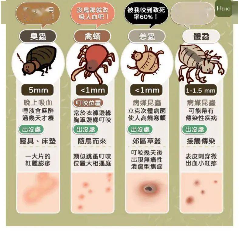 大部分虫咬皮炎症状都相对轻微,但有些虫咬皮炎也可致命.