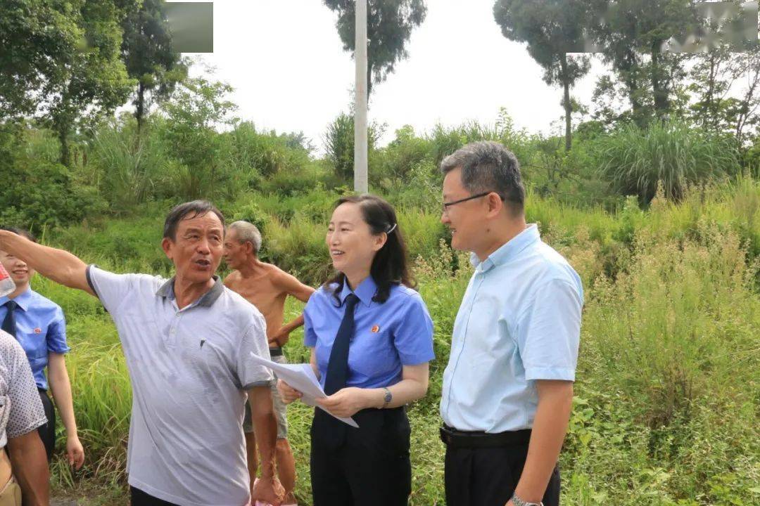 市铁路检察院一行来合调研铁路沿线受损农田恢复情况_陈久红