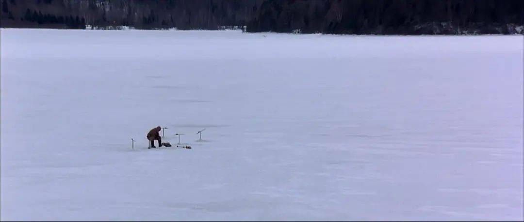 汉松|但汉松：菲利普·罗斯笔下的主人公，是美国历史的“人质”
