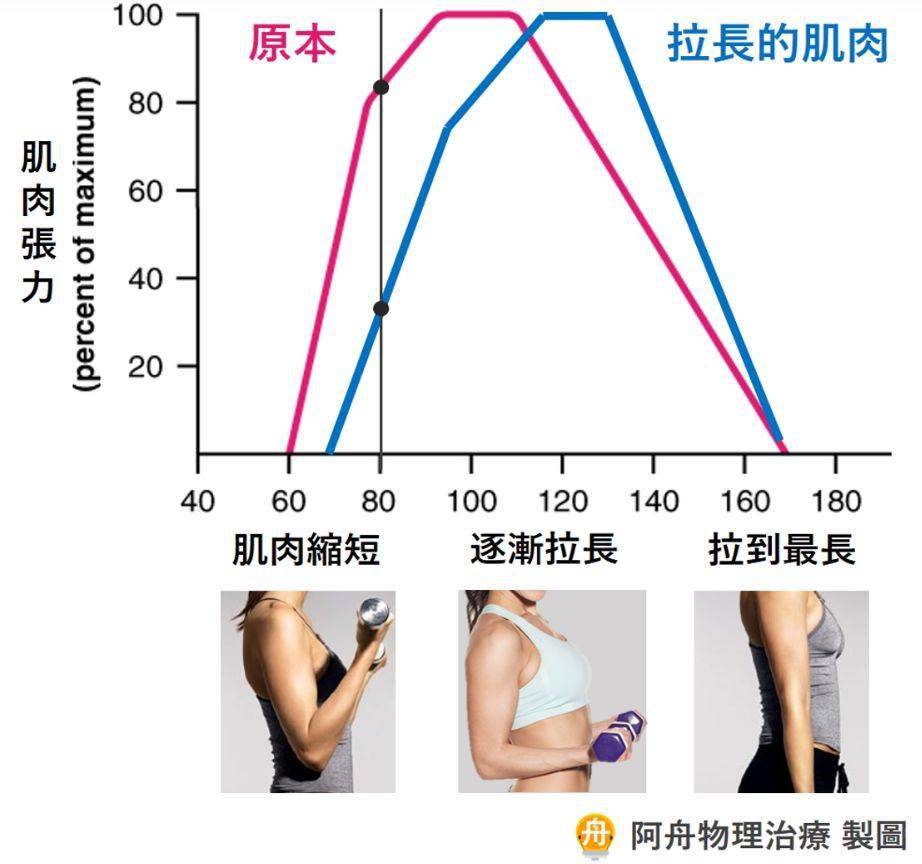 热身拉筋有什么原理_热身运动图片(2)