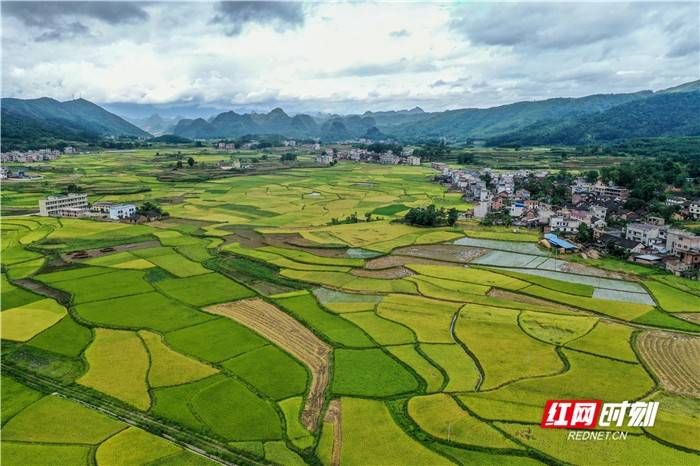 编者按:碧水蓝天润大地,画里湖湘好生态.