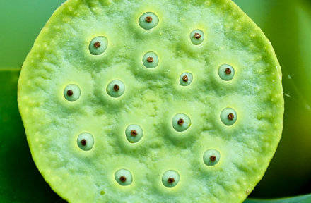 季节|镜头：今日立秋！季节换了名字，依旧风光如故！