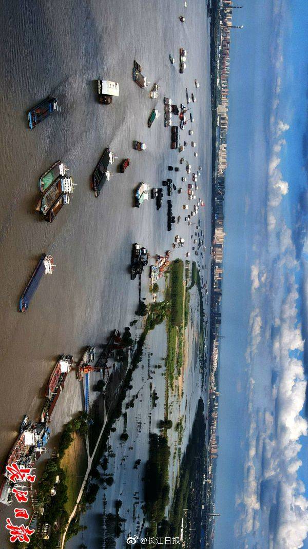 李子云|武汉长江段“黄金水道”百舸争流