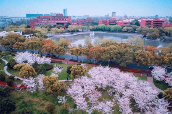 考生|最具强国梦想学子的选择!上海综评拔得头筹!交大