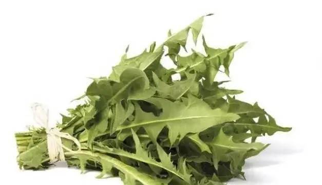 苦草泡水喝有什么作用 9b558e2e847b48d7bcb4d29b6ef8dbef.jpeg