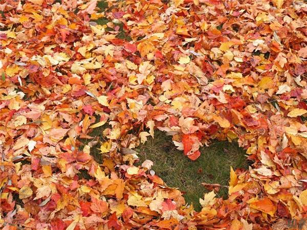 生活|超有智慧的人生感悟语录，句句修心养性！