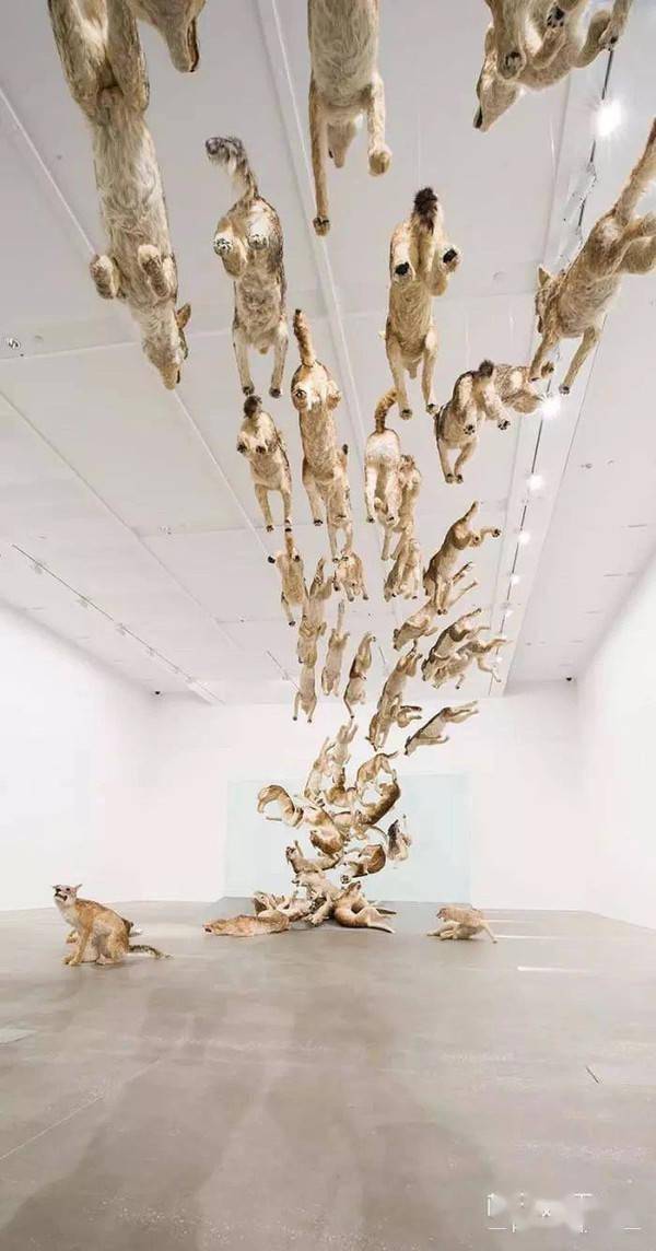 点燃|许幻山偶像有多牛？用21年点燃百米天梯烟火，不愧是最会玩火的人