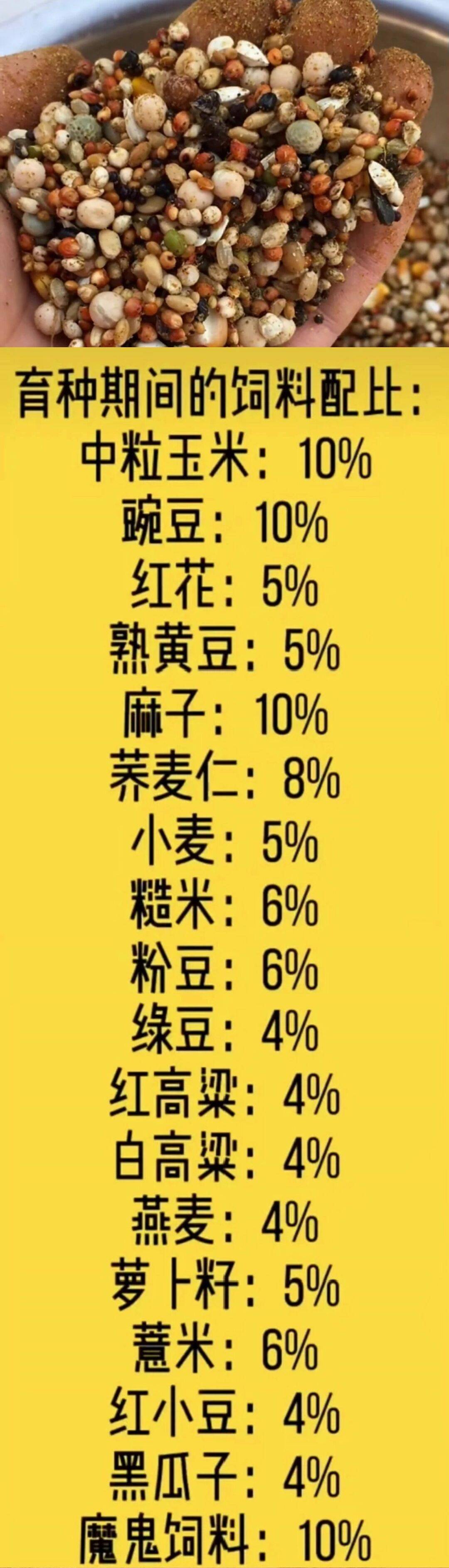 查看鸽子的身体状况,及时调整饲料的配比和投食量,保证种鸽不挑食,有