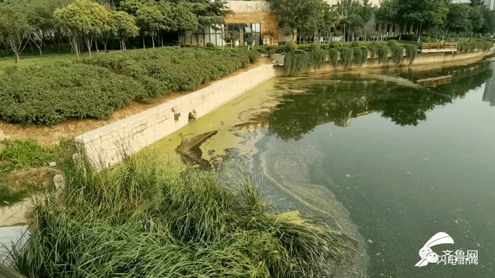 青岛|“一纸证明”挡住了孩子的上学路：能否解决呢？