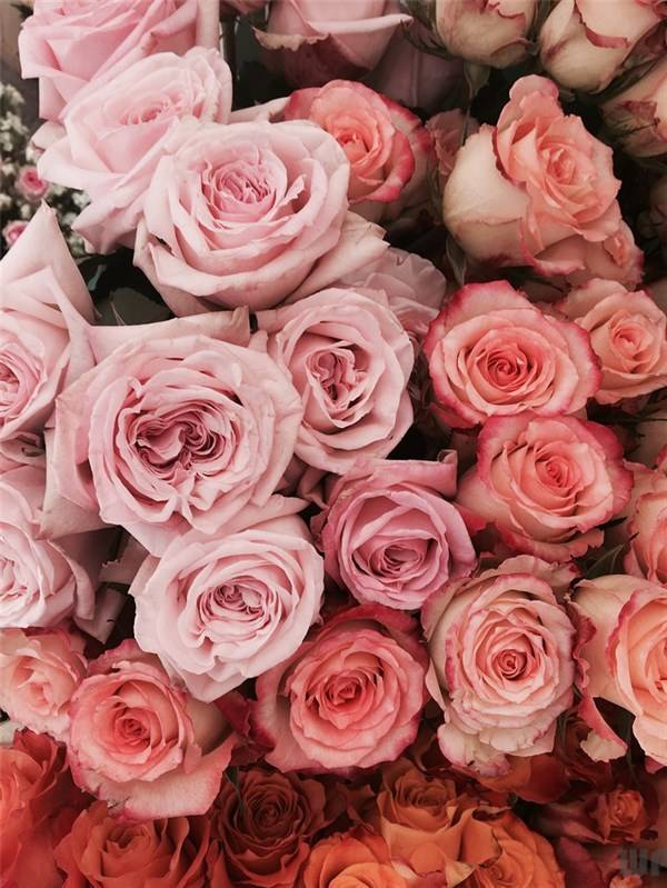 都爱|心理学：内心虚伪的人，都爱说这5句话