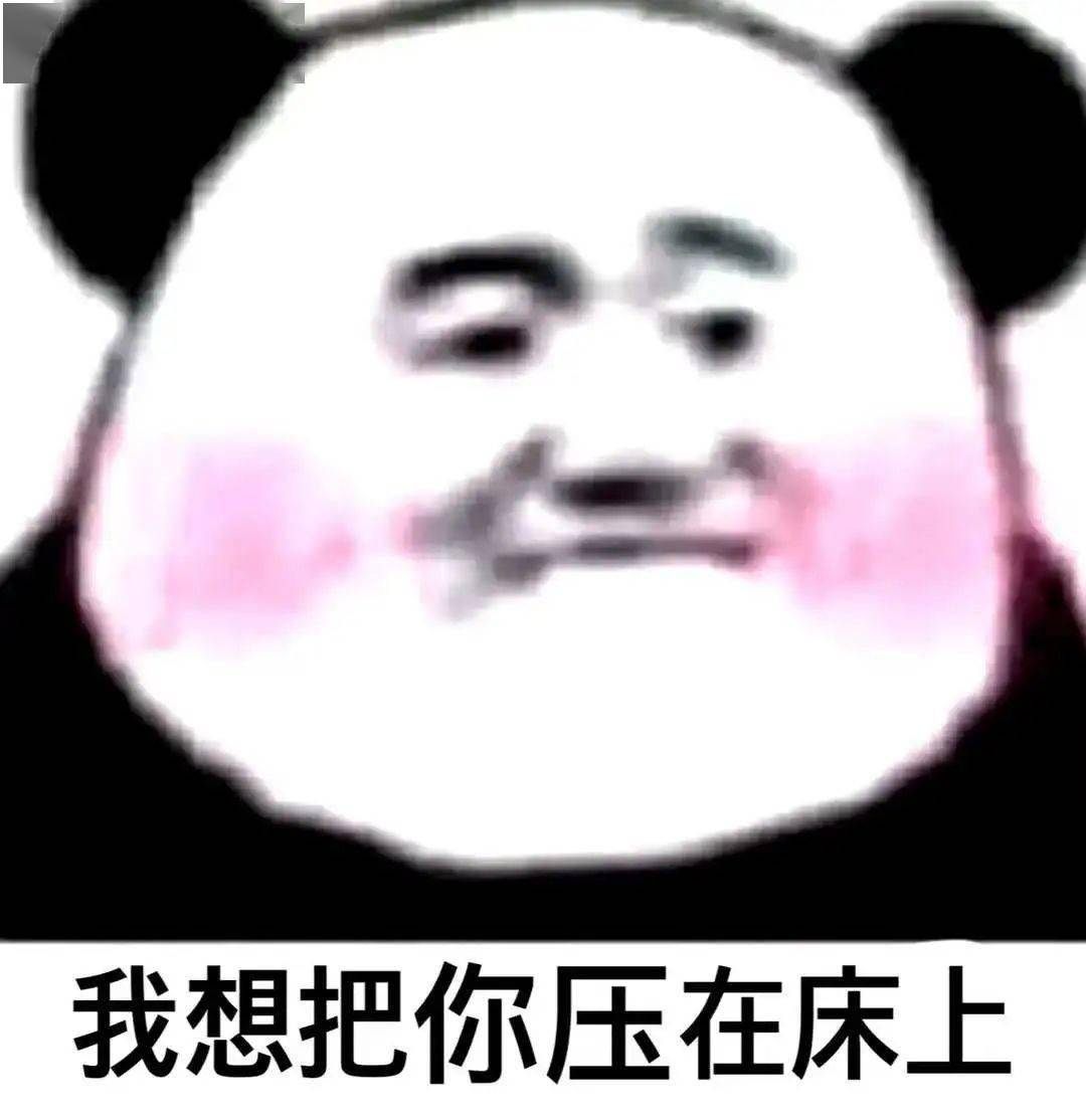 熊猫头表情包i女朋友都没有还搁这这骚呢