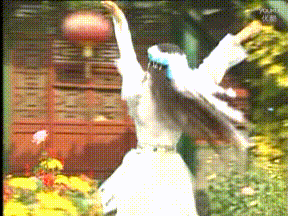 刘晓庆|「第一古典美人」走了:她们的美,才是永远的经典