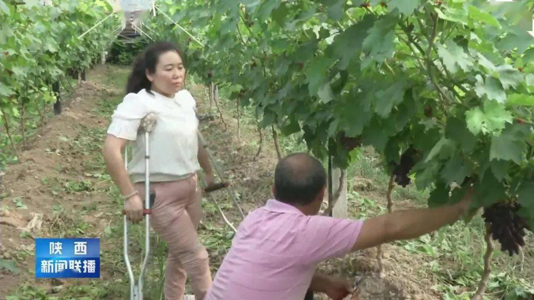 马宁|从卖水果到卖品牌 这位农家女唱响了线上销售经