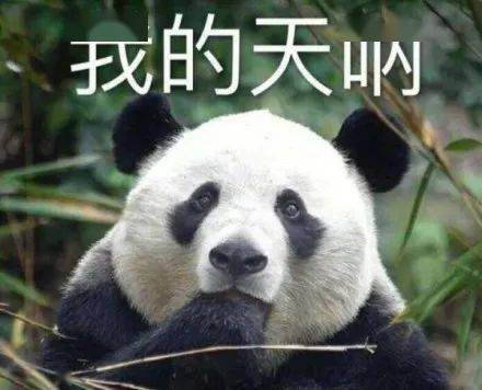 效果|去痘印、黑眼圈只能靠美颜?那是你没用对遮瑕!