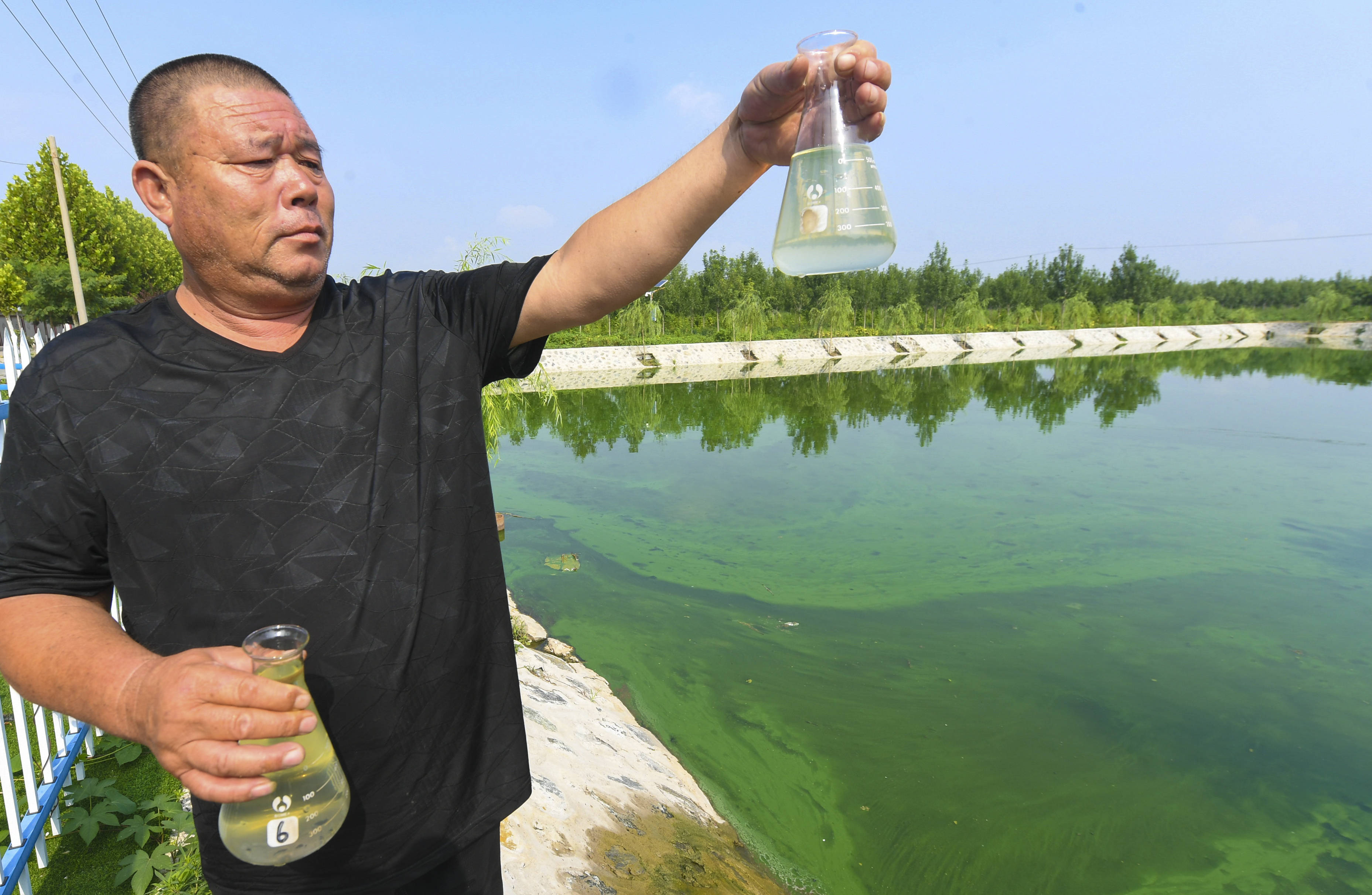污水|河北大城：农村生活污水处理站助力乡村振兴