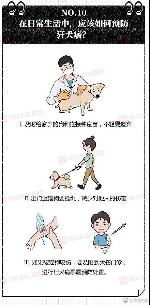 科普|日常生活中应该如何预防狂犬病