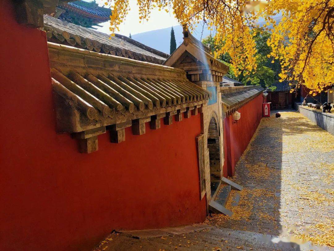 少林寺|特步儿童，你怎么悄悄变身了？！