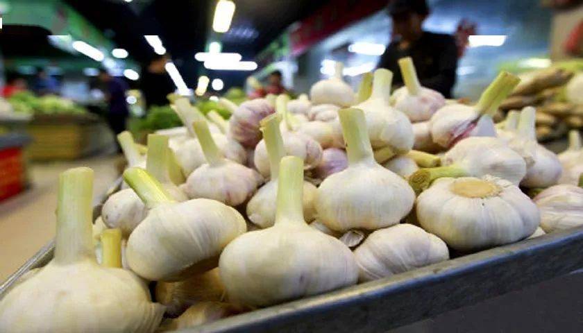 蒜什么时候种最便宜 782bb393664e433b9b49bdb7c7b37678.jpeg