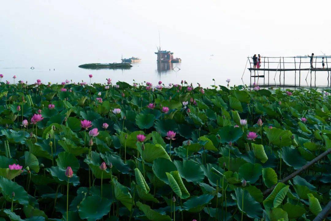 沱湖省级自然保护区美景