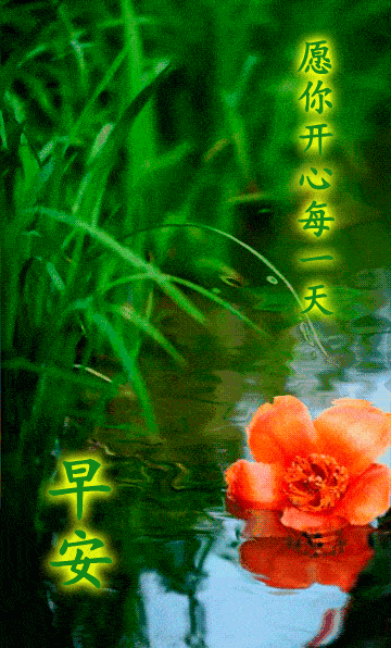 8月11日周二清晨早上好问候祝福动态表情图片 8月最新早安问候祝福