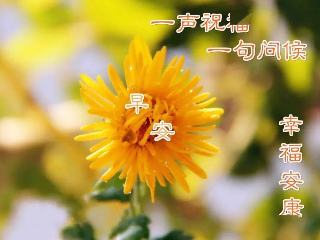 美好的一天,从清晨开始!