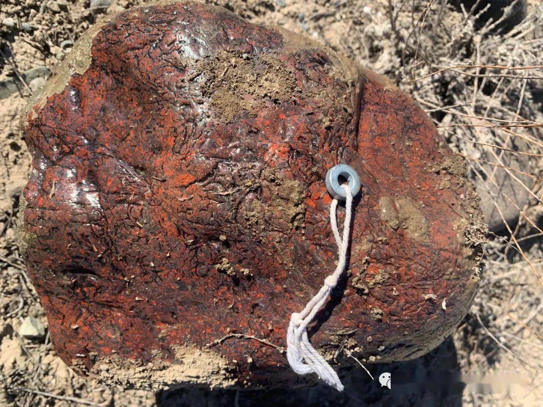 疫情后2020人均gdp_疫情期间gdp变化图(2)