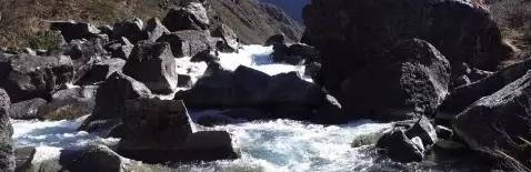 权力|花百万“移石造景”：揪出“疯狂石头”背后的蛀虫