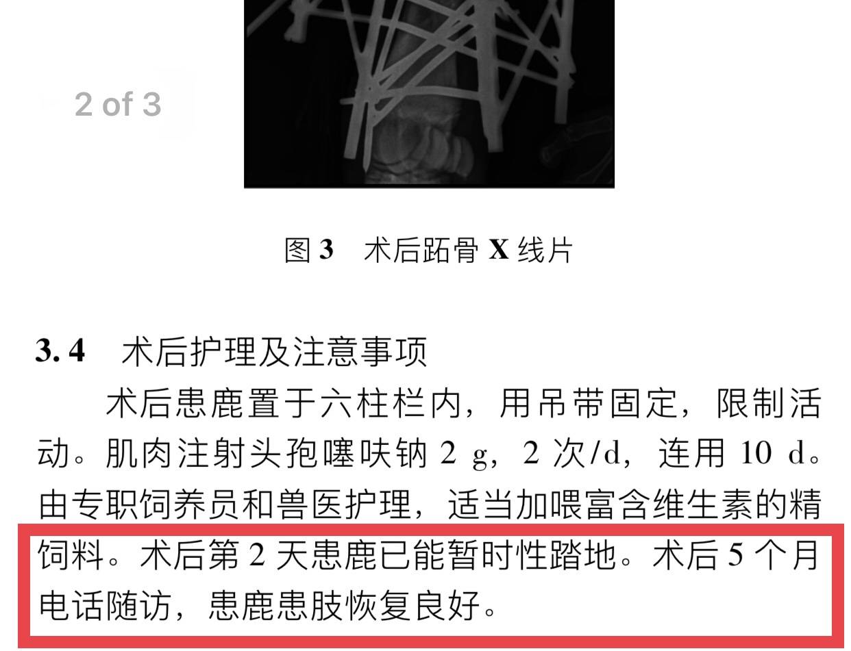 期刊|死亡长颈鹿在期刊“复生”，作者：结论为提前假设，已申请勘误