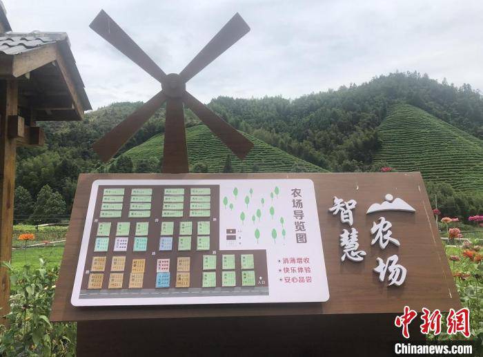 源村|由小农场看大文章：浙江省域国土空间“呵护记”