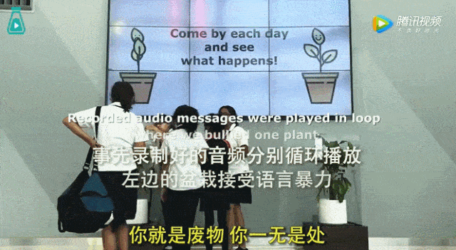 实验|“才骂了30天，它居然死了？”一组可怕的实验告诉家长：逼死孩子的不是拳头，是舌头……