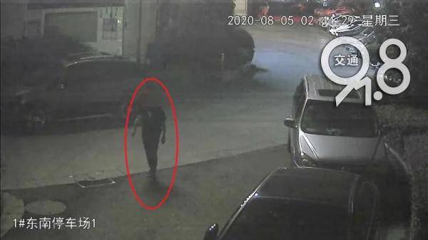 知己|杭州一男子为了红颜知己，拿把小刀凌晨偷偷干这事！