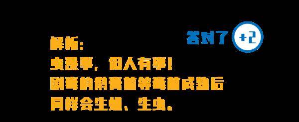 杨维涵|云南人吃菌等级考试
