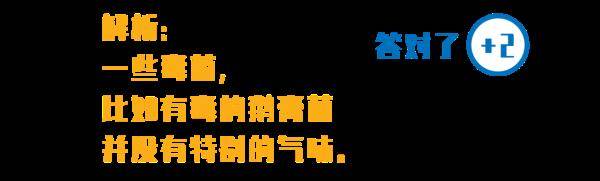 杨维涵|云南人吃菌等级考试