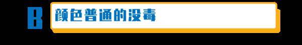 杨维涵|云南人吃菌等级考试