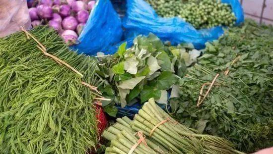 热带雨林|还好吃!【逛吃】西双版纳不仅美