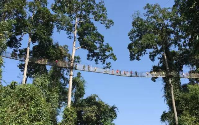 热带雨林|还好吃!【逛吃】西双版纳不仅美