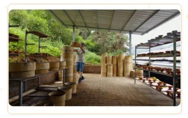 云中|赏美器，饮香茗、比品味，你知道吗？宋代人的文艺生活原来这么精彩！