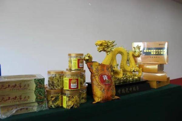 金属龙|老人到底有多好骗？记得转给父母