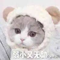 微信|微信重大更新！拍一拍终于可以撤回了！但小编亲测后发现...