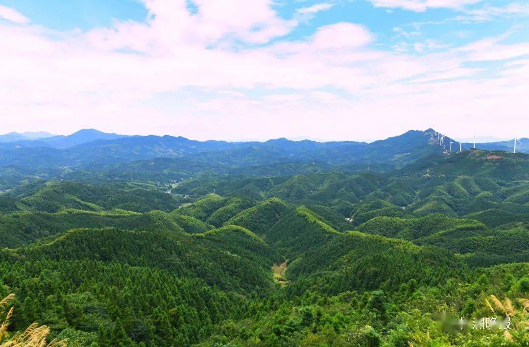 跟拍| 株洲父子扎根林场,这里有四季风景,也有毒蛇毒蜂