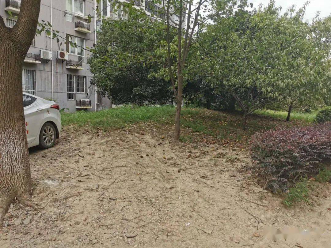 d1024ca78586460a89f32142109abb63.jpeg