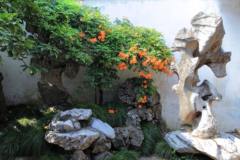 那对|都说喜爱植物的人不喜欢假的实物，那对假山呢