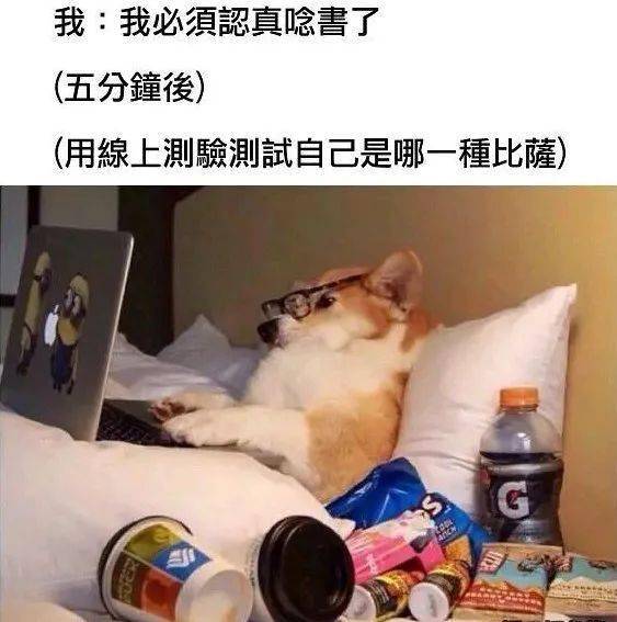 e9f5a84e8d264b2d993a26eb61c48ebd.jpeg