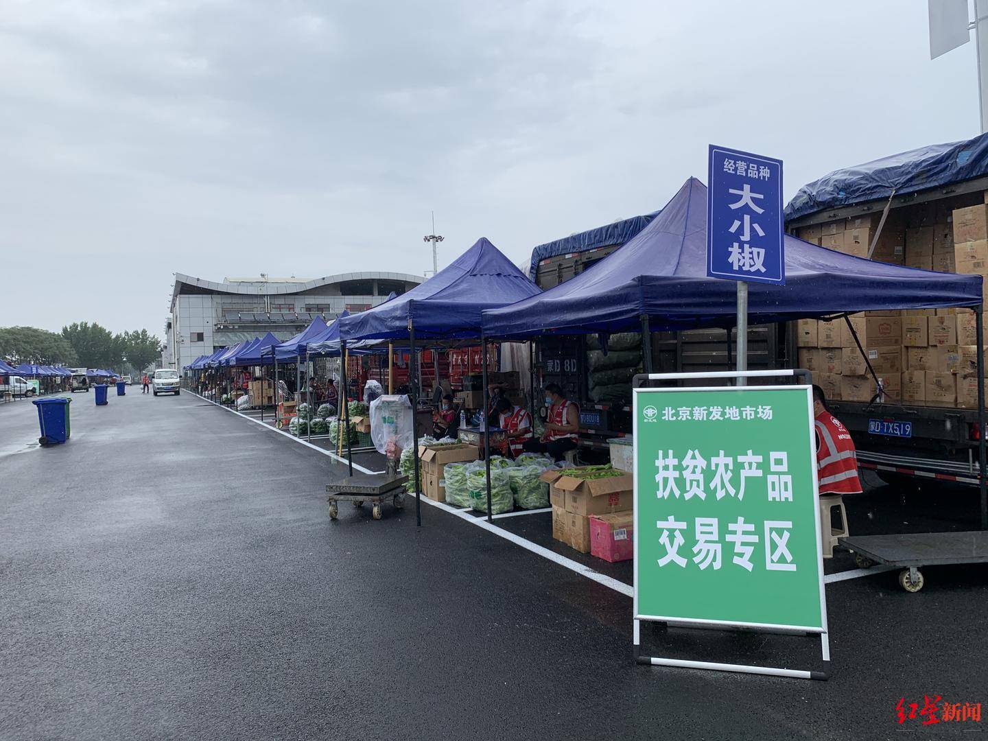 马甲|新发地市场复市第一天：市场更注重卫生控制人流，进场须持会员码穿四色马甲