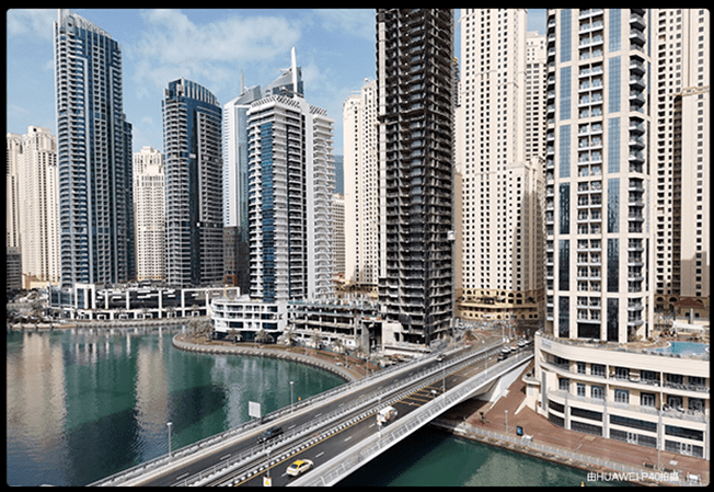 口碑|口碑炸裂的它，这次真的藏不住要火了