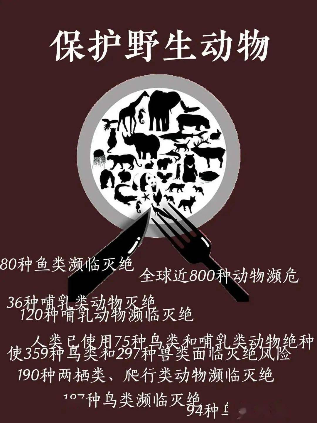 全国上下迅速行动起来,织密野生动物保护网,全面打击非法野生动物