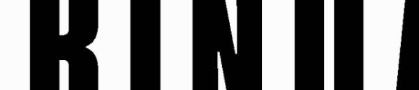 阿黄|痛心！老校长刚退休，养了5年的流浪狗被保安杀害了