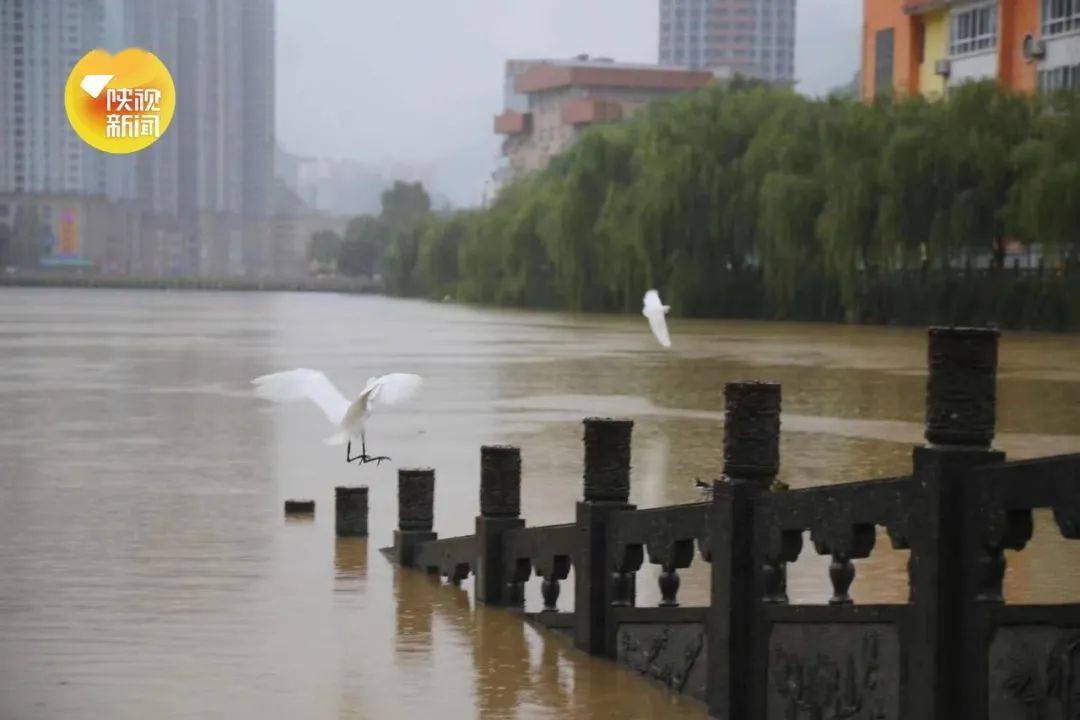 略阳县人口经济_略阳县两河口镇(3)