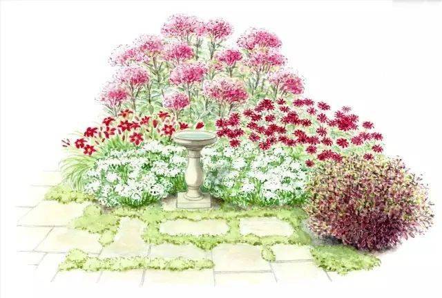 101款手绘花园院子(植物小景)