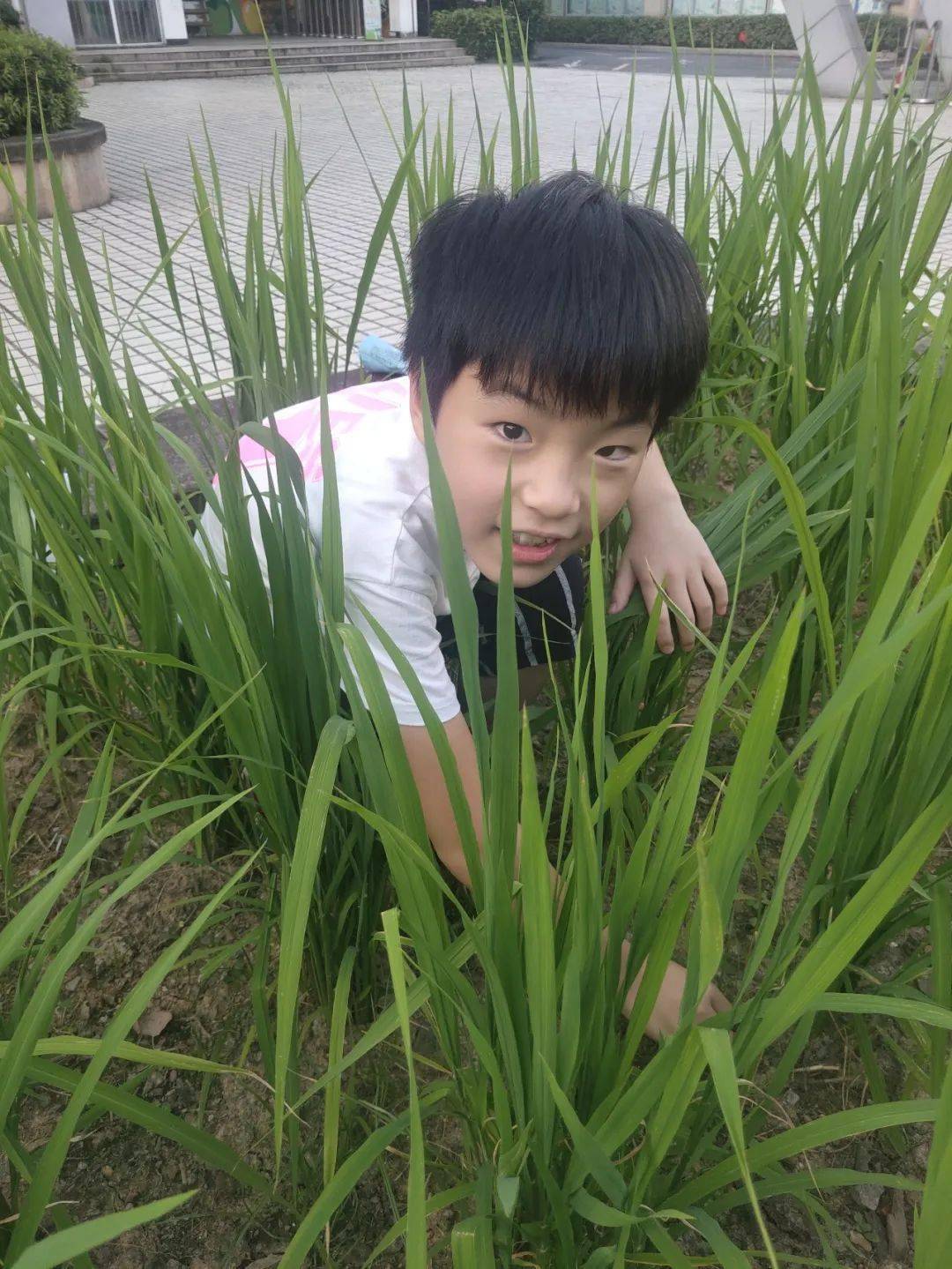 喜悦的小麦子 22dfdf658fea49868c11fc7f40630e51.jpeg